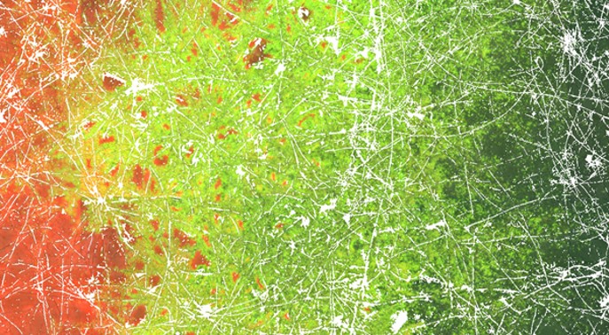 'Fungal highway' - Hyphae promote the bacterial spread, genetic adaptation, diversity and potential for pollutant degradation 
(© Tom Berthold/UFZ))